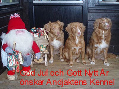 God Jul, Annette & Per!