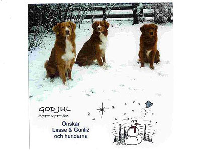 God Jul, Gunliz & Lasse!