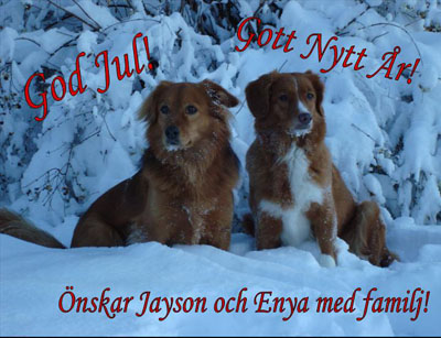 God Jul, Lena!