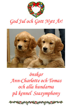 God Jul, Ann-Charlotte!