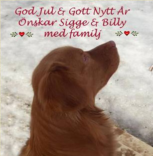 God Jul, Suzan med familj!