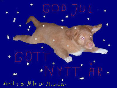 God Jul, Anita & Nils!