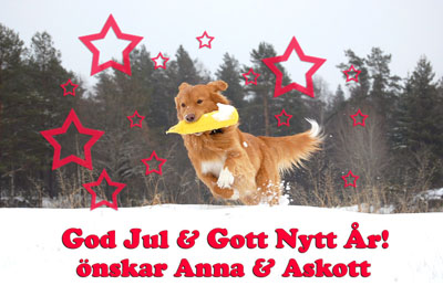 God Jul, Anna!