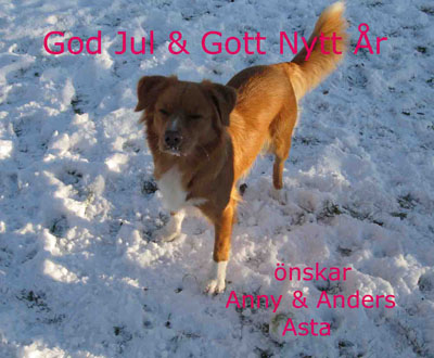 God Jul, Anny & Anders!