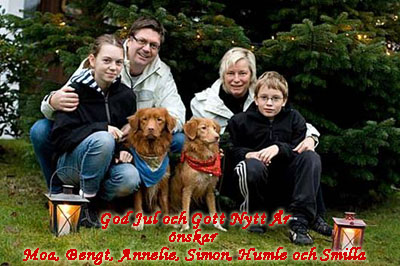 God Jul, Annelie & Bengt!