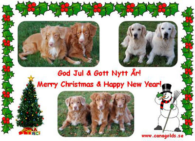 God Jul, Maria & Helen!