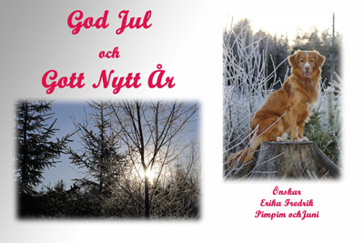 God Jul, Erika!