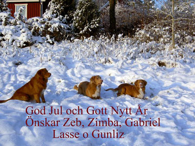 God Jul, Gunliz & Lasse!