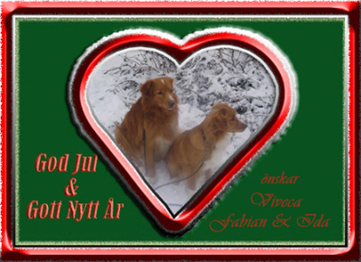 God Jul, Viveca!