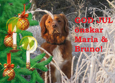 God Jul, Maria!