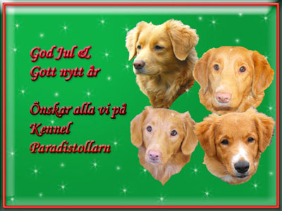 God Jul, Linda!