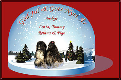 God Jul, Lotta & Tommy!