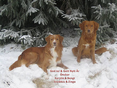 God Jul, Kerstin & Bengt!