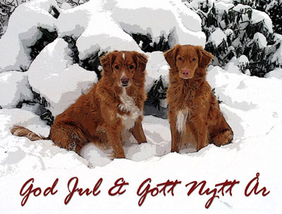 God Jul, Tina & Petter!