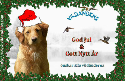 God Jul, Anette!