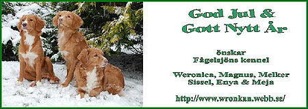 God Jul, Weronica!