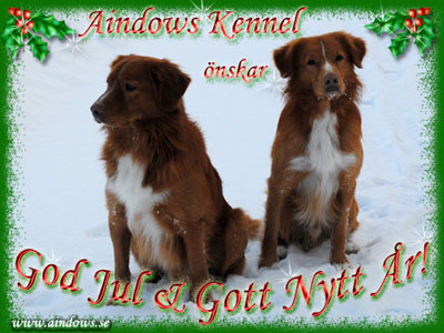 God Jul, Annie!