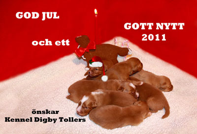 God Jul, Agneta & Tina!