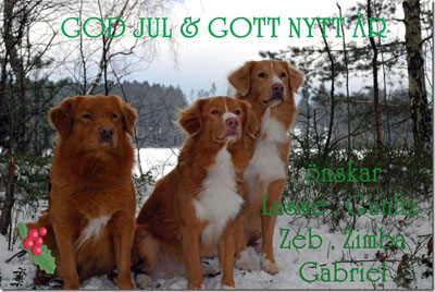 God Jul, Gunliz & Lasse!