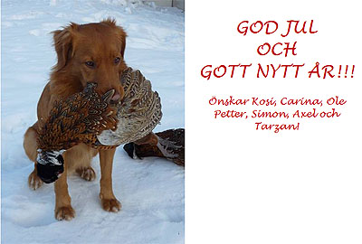 God Jul, Carina & Kosi!