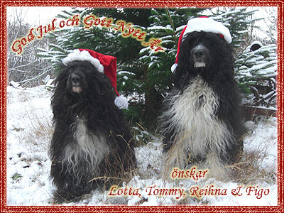 God Jul, Lotta & Tommy!