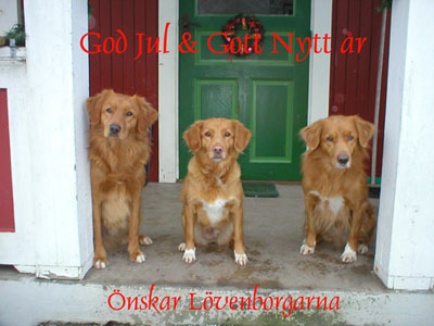 God Jul, Tina & Jrgen!