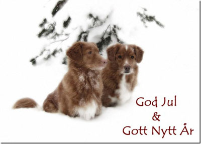 God Jul, Tina & Petter!