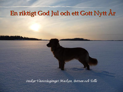 God Jul, Mackan & Bettan!