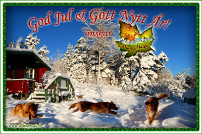 God Jul, Laila & tollargnget!