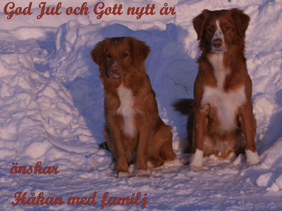 God Jul, Hkan & Jeanette!