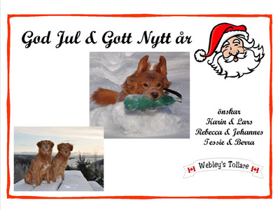 God Jul, Karin & Lars!