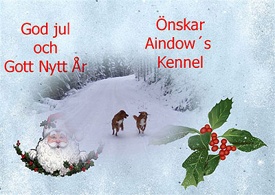 God Jul, Annie!