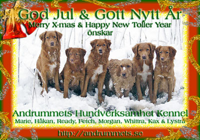 God Jul, Marie & Hkan!