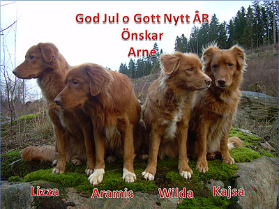 God Jul, Arne!