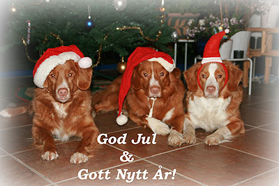 God Jul, Eva!