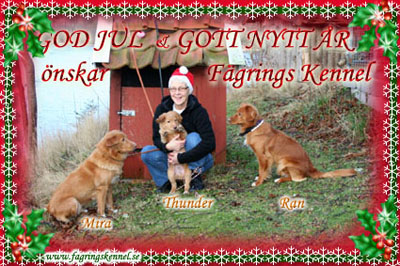 God Jul, Aino & Lennart!