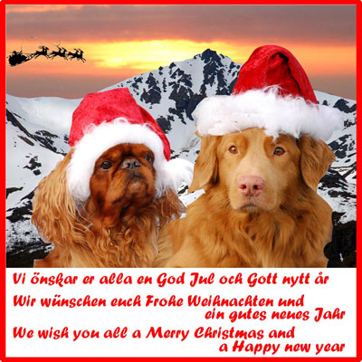 God Jul, Ancie & Mats!