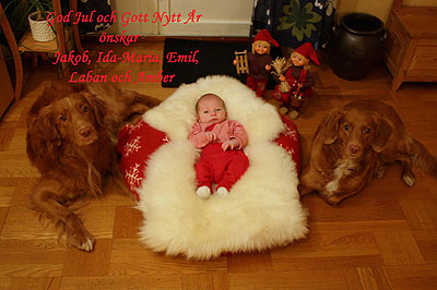 God Jul, Ida-Maria!