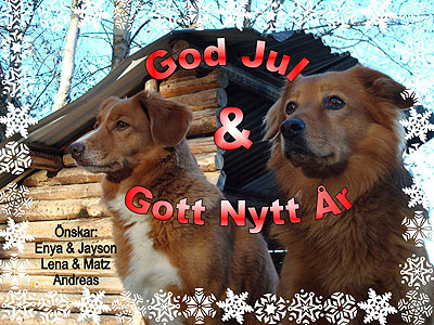 God Jul, Lena & Matz!