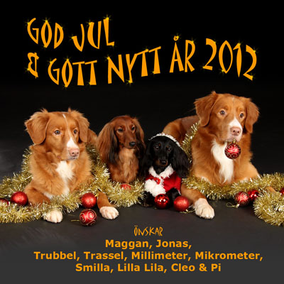 God Jul, Maggan & Jonas!