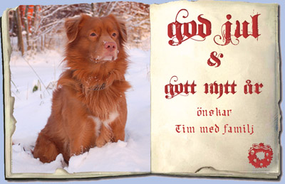 God Jul, Maria!