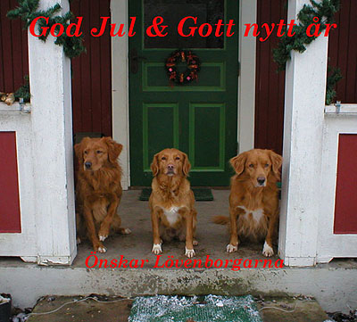 God Jul, Tina & Jrgen!