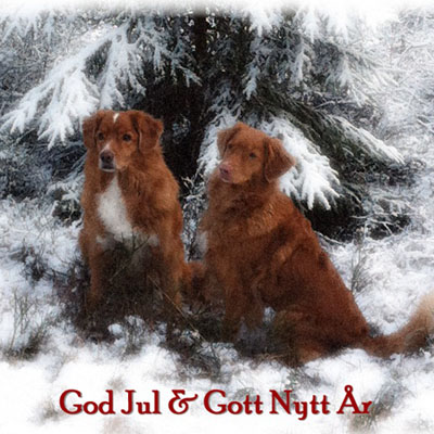 God Jul, Tina & Petter!