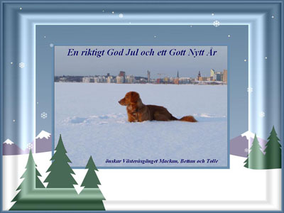 God Jul, Mackan & Bettan!