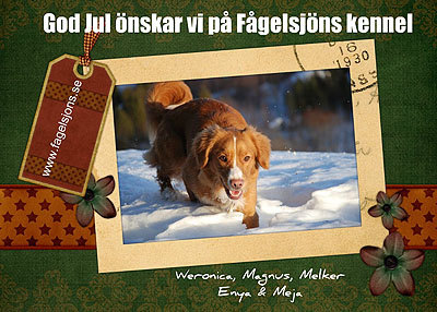 God Jul, Weronica!