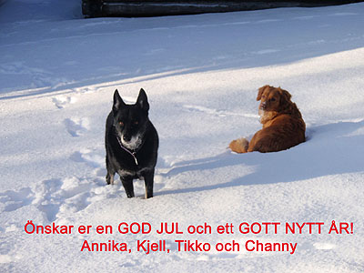 God Jul, Annika & Kjell!