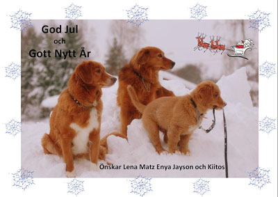 God Jul, Lena & Matz!