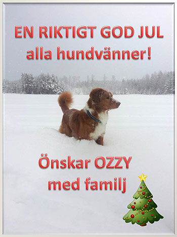 God Jul, Karin & Ozzy!