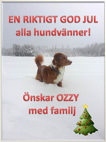 God Jul, Karin & Ozzy!