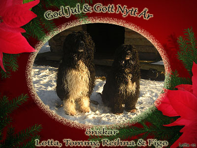 God Jul, Lotta & Tommy!